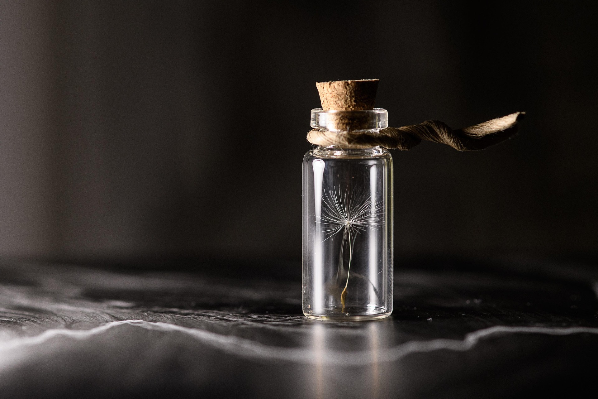 A mould inside the bottle