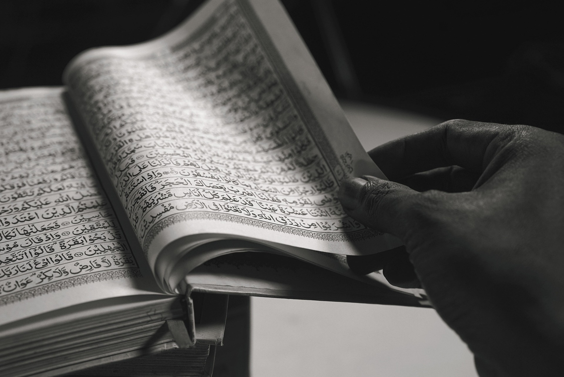 The page of the Holy Qura'n