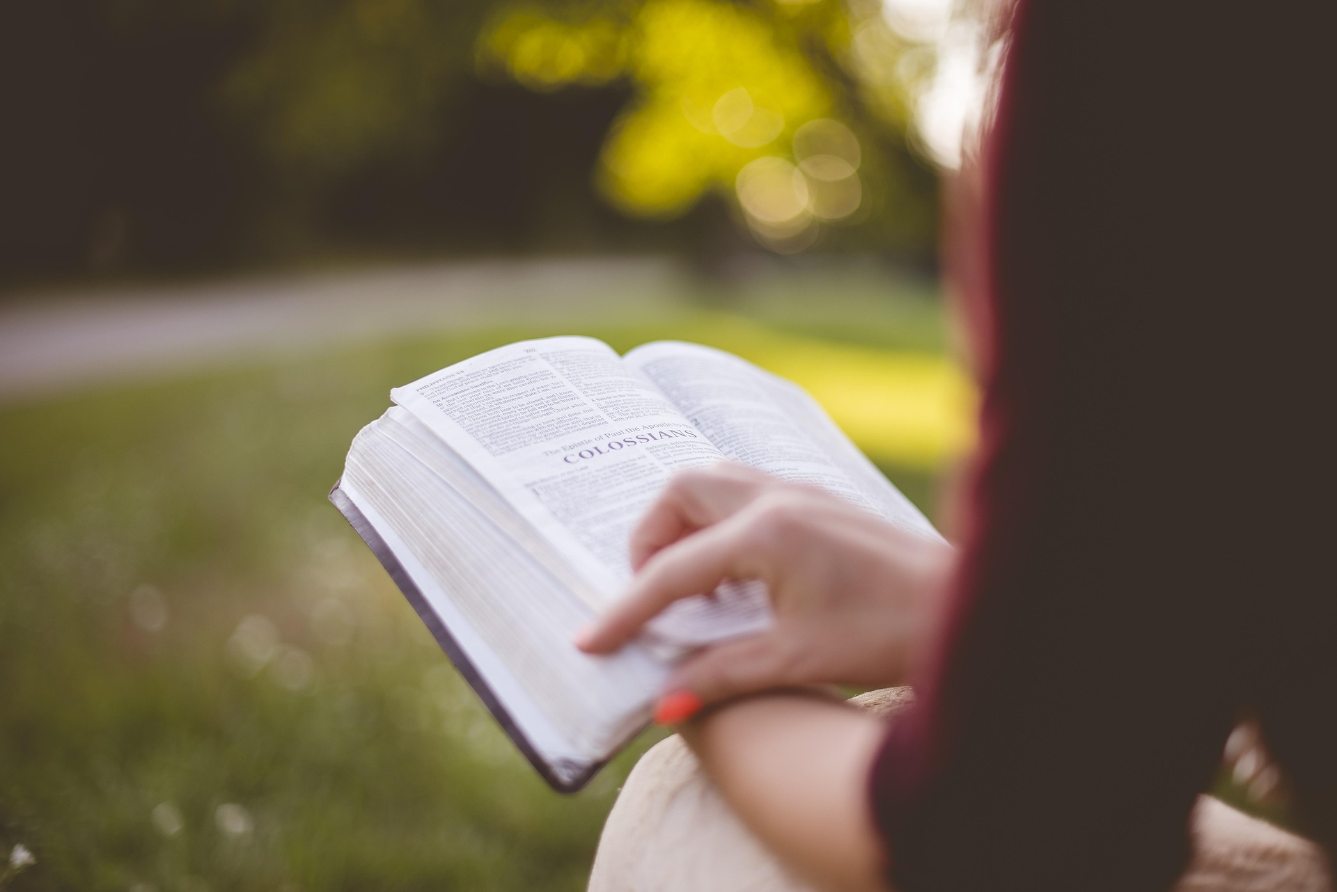 A girl is reading a book