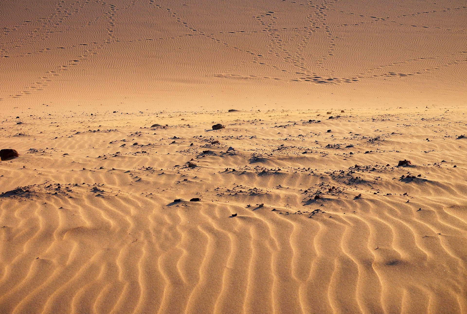 The image of the desert.