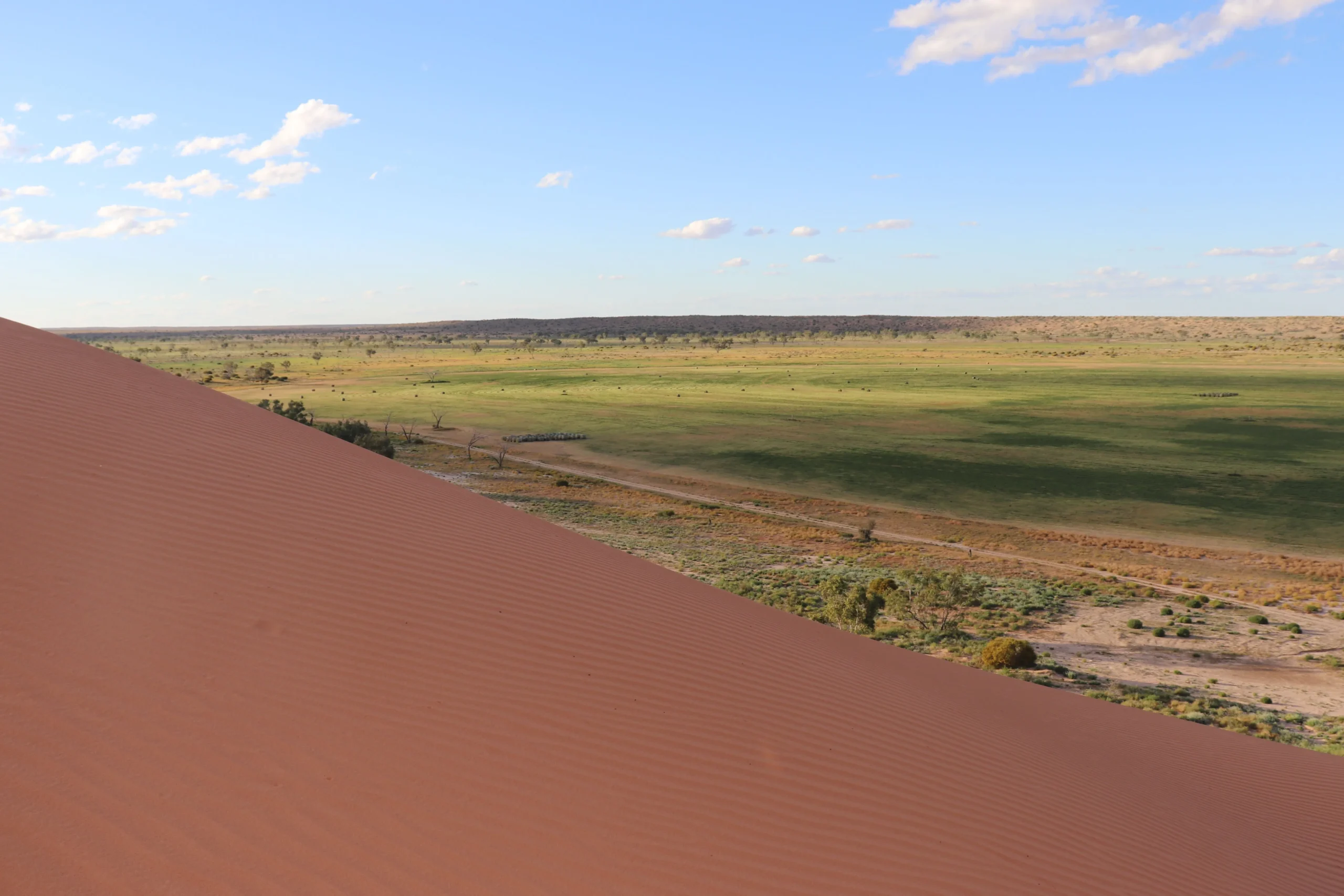 A desert and a grassland together