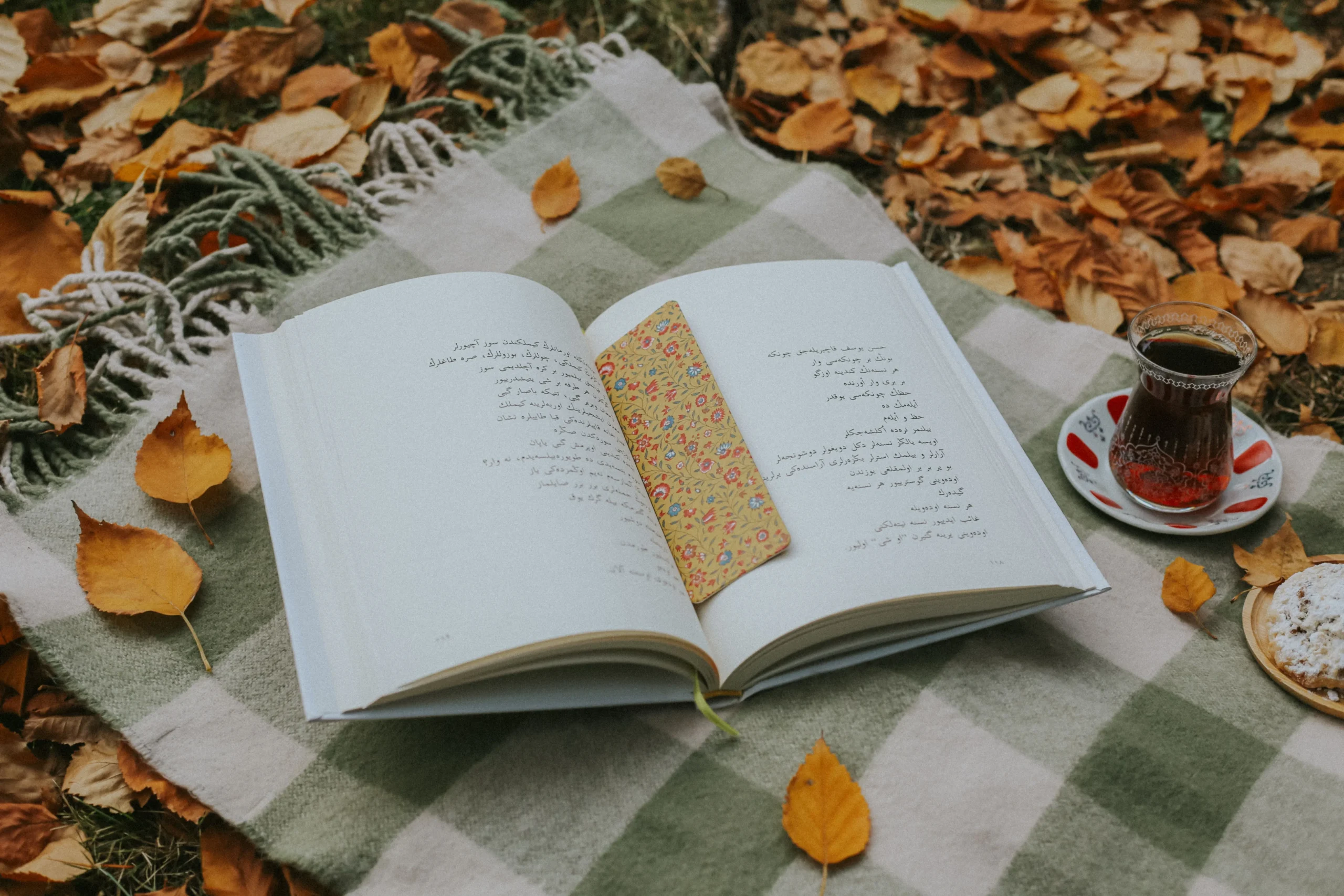 An Urdu book