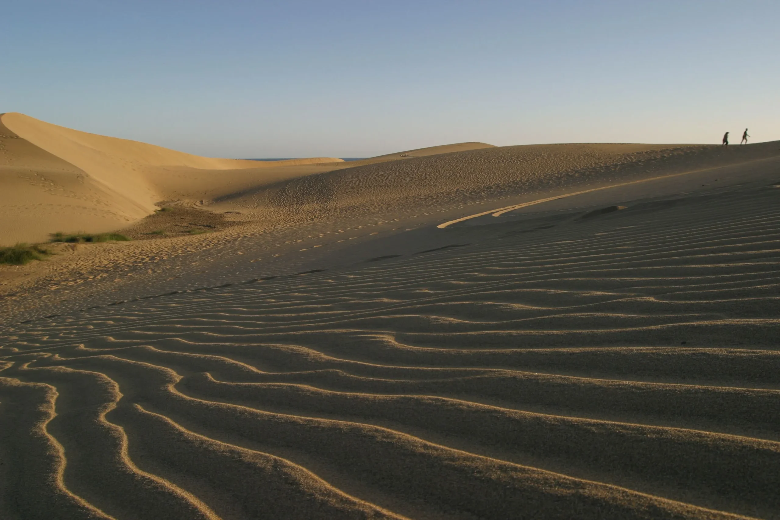 An image of the desert.