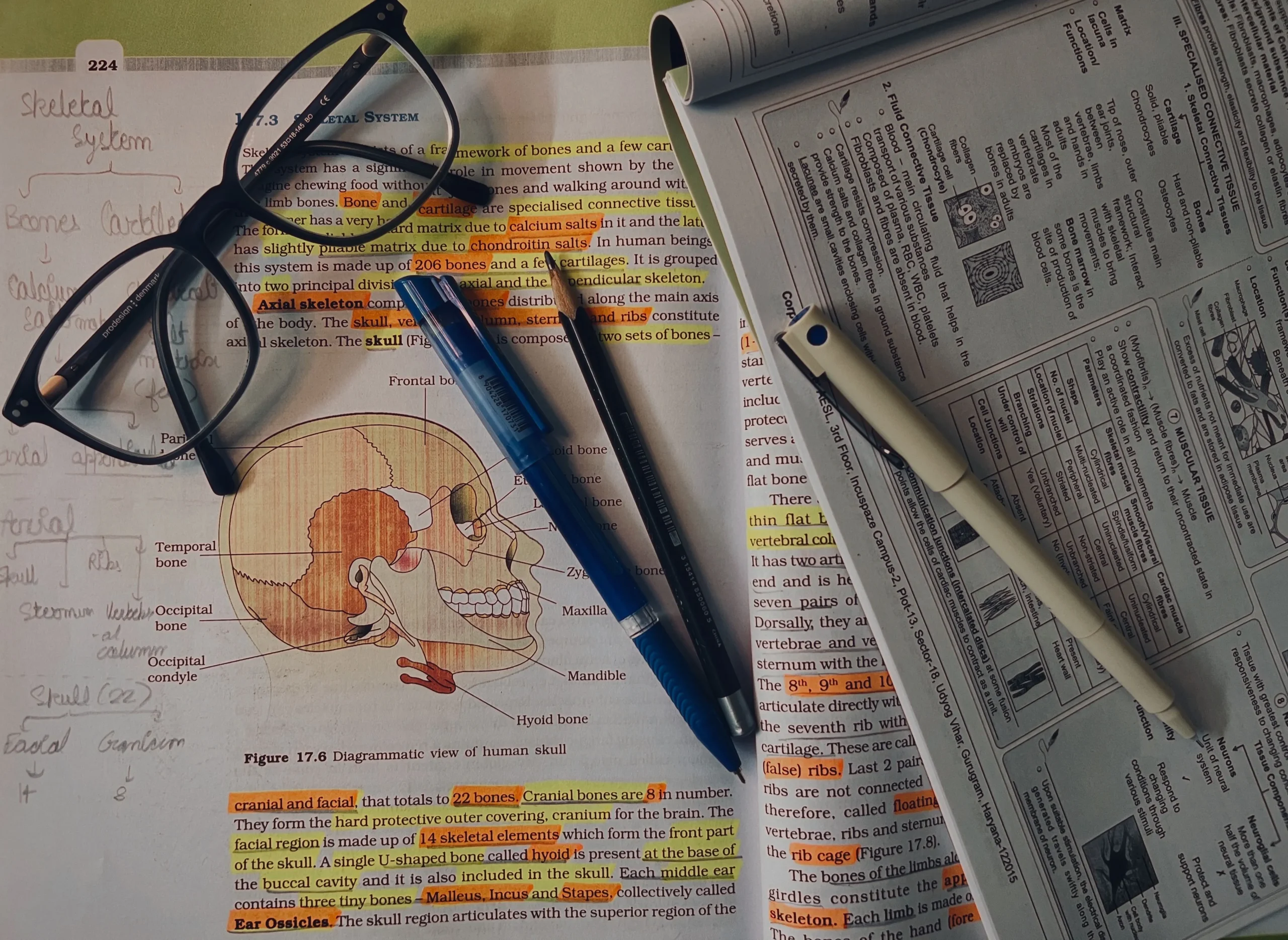 Some of the science notes