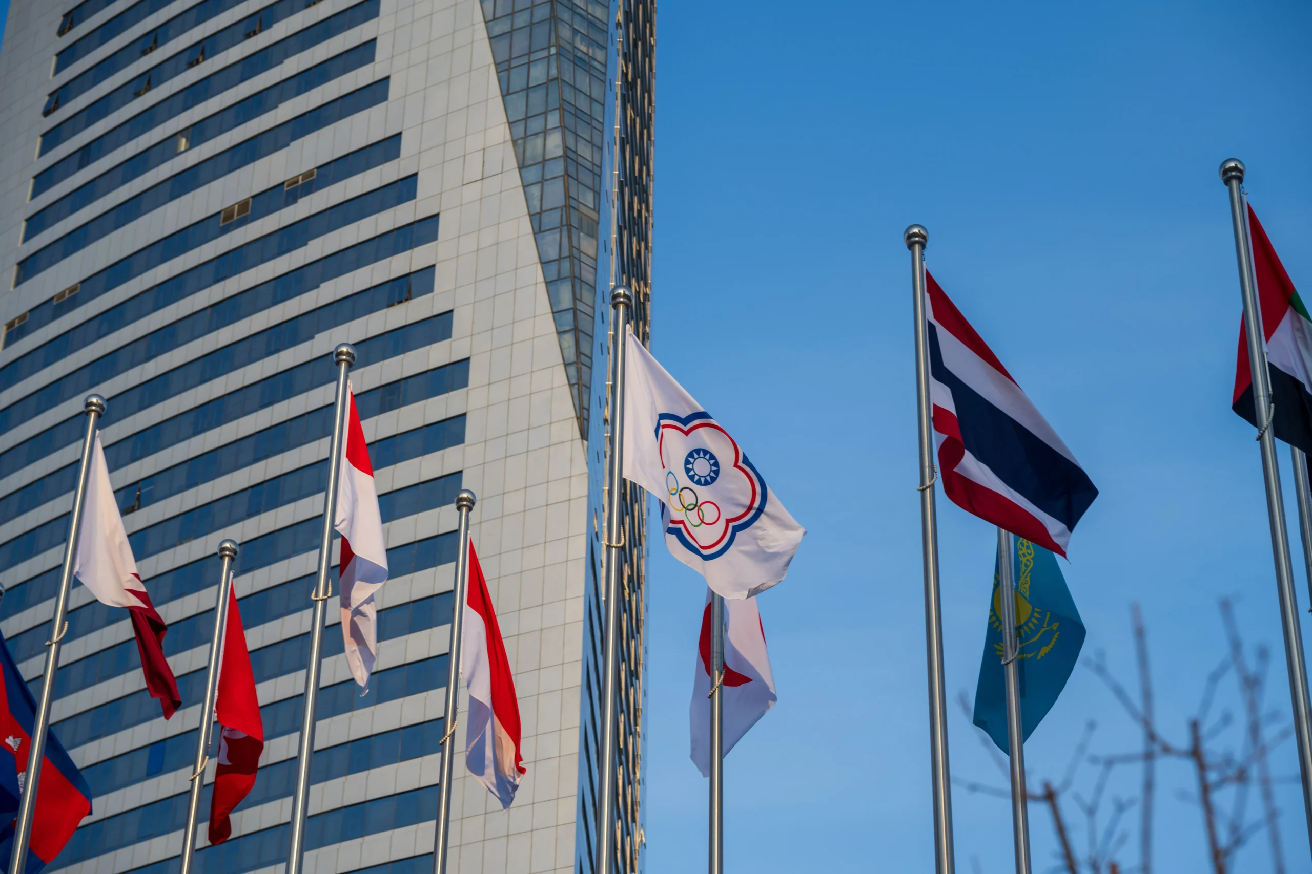 Different flags of different countries are shown in the image.